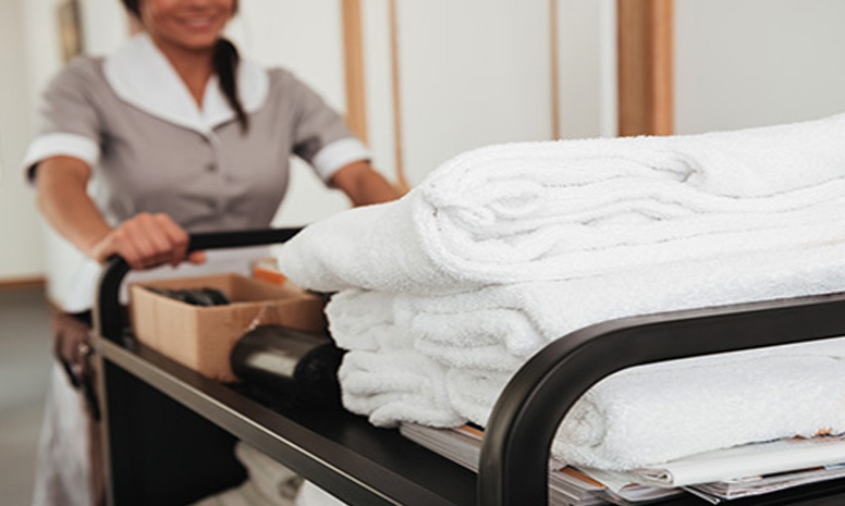 Housekeeping Training Program